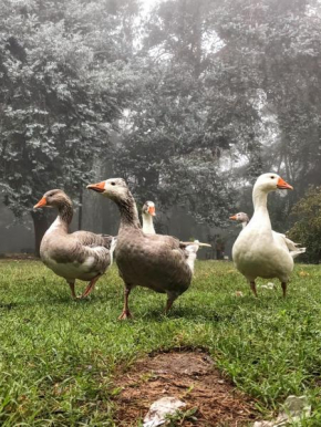 Posada Tanti El Durazno